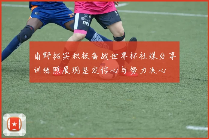 南野拓实积极备战世界杯社媒分享训练照展现坚定信心与努力决心
